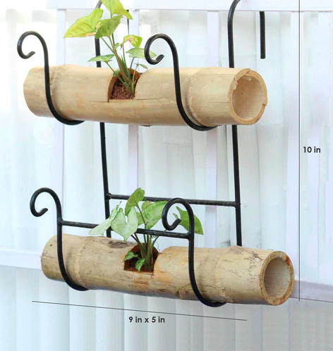 Bamboo holder with Double Bamboo Pots 