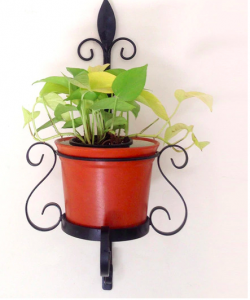 Metal Wall Planter with Pot