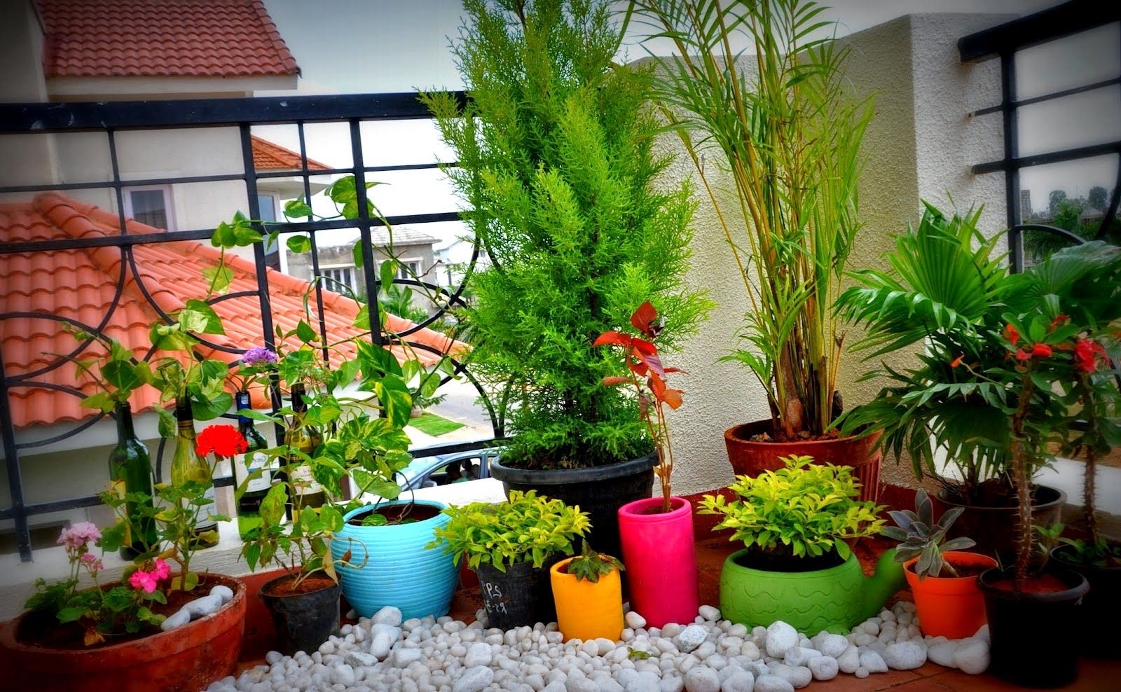 Balcony Gardens Prove That Green is Always in Trending