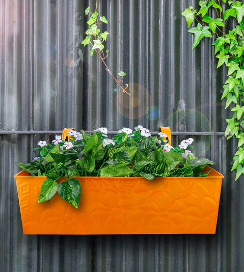 Rectangular Planter on Pepperfry - Furniture20