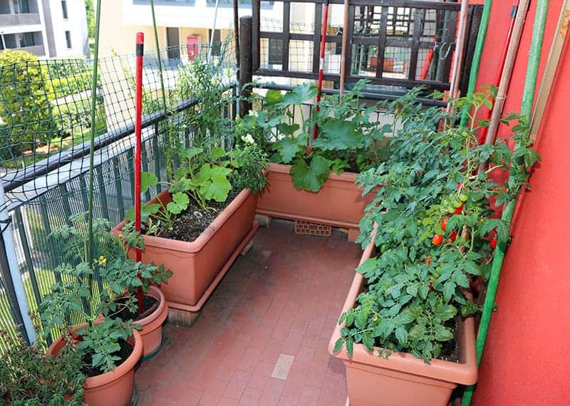 balcony-kitchen-garden